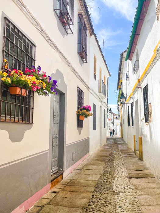 street in the jewish neighborhood in Cordoba